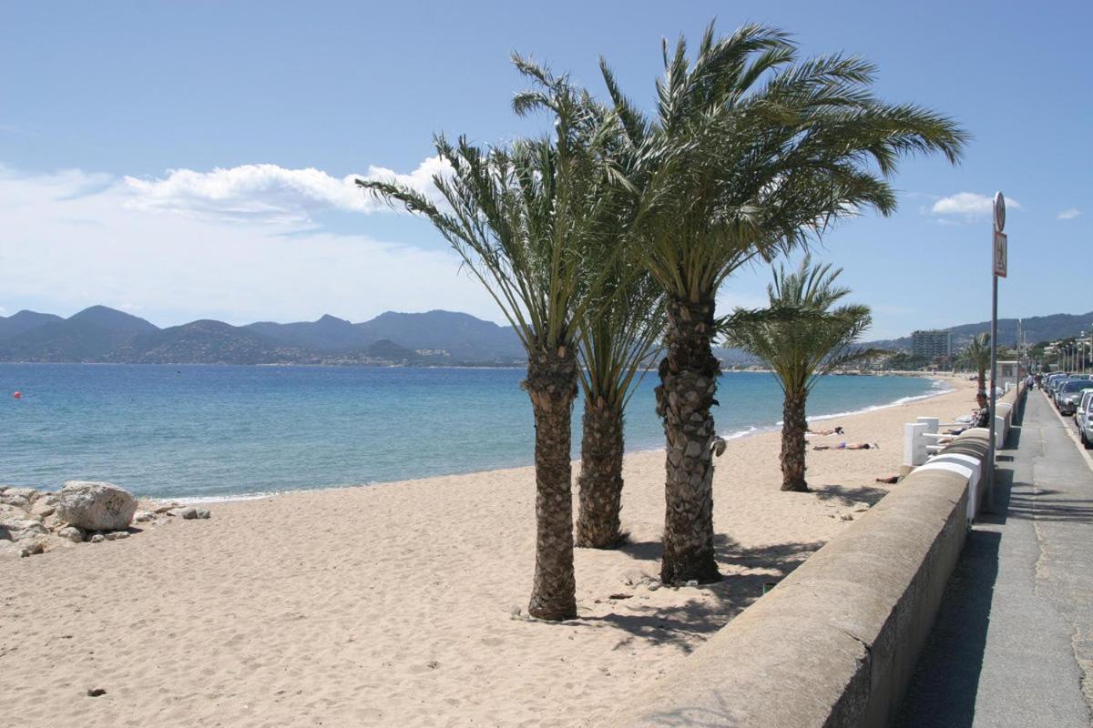 Maisonnette Bas Suquet, Proche Et Palais Appartement Cannes